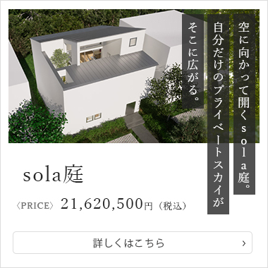 sola庭